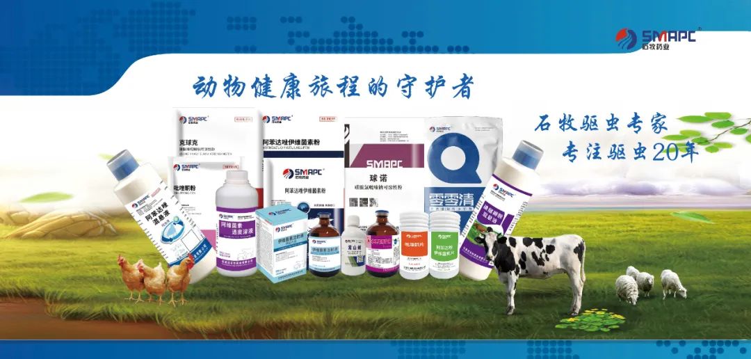 中国兽医协会第九届兽医大会|石牧药业携驱